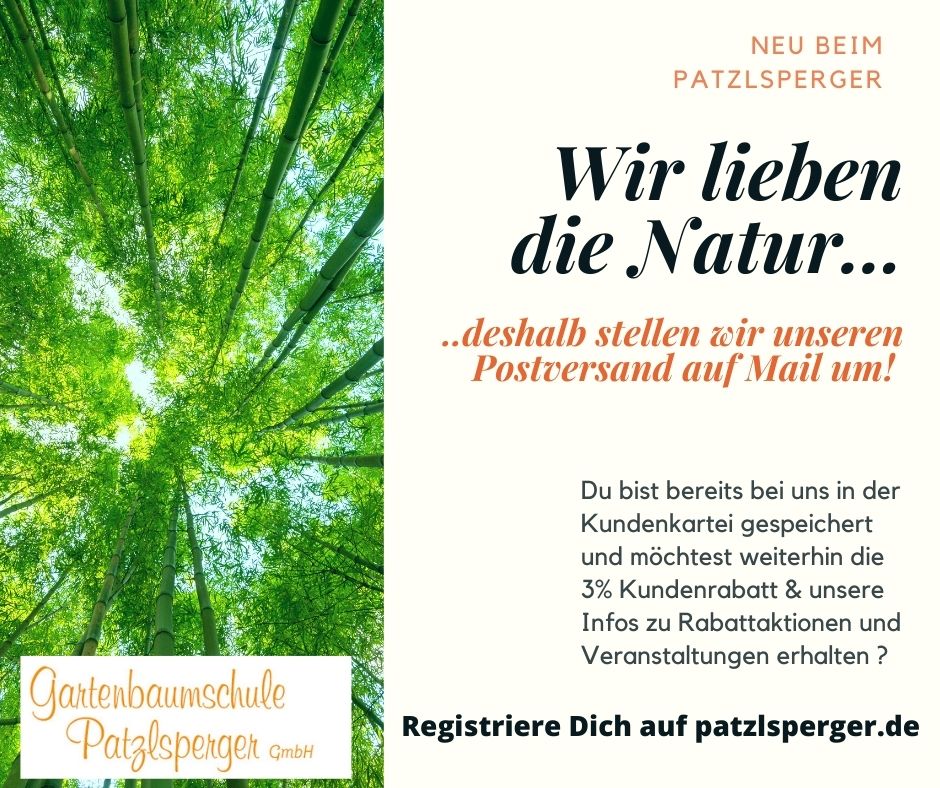 Anmeldung zum Newsletter und keine News mehr verpassen Anmeldung zum Newsletter und keine News mehr verpassen