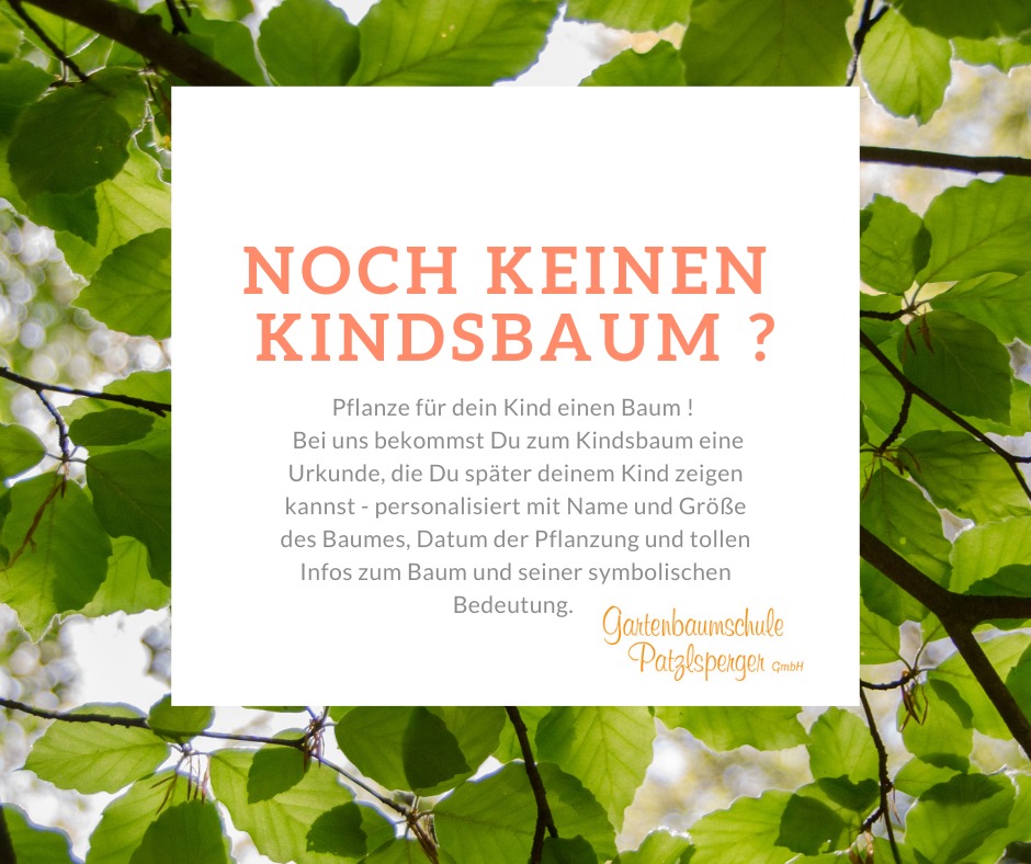 Pflanze für Dein Kind einen Baum! Pflanze für Dein Kind einen Baum!
